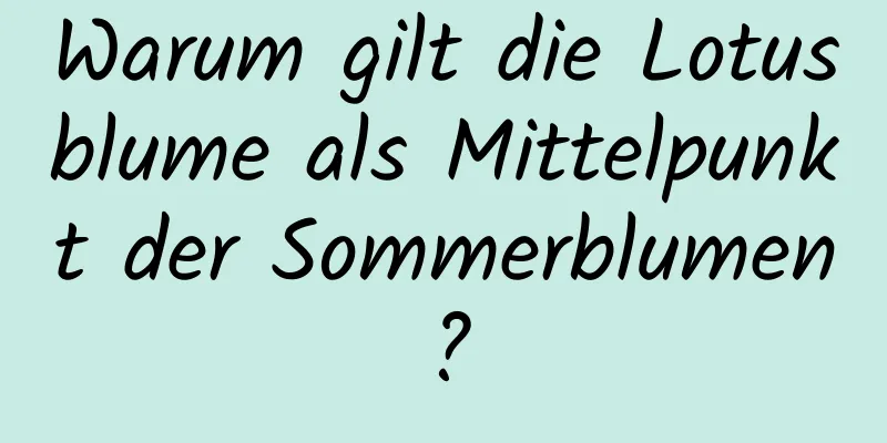 Warum gilt die Lotusblume als Mittelpunkt der Sommerblumen?