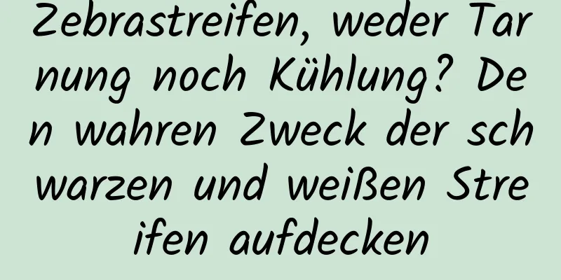 Zebrastreifen, weder Tarnung noch Kühlung? Den wahren Zweck der schwarzen und weißen Streifen aufdecken