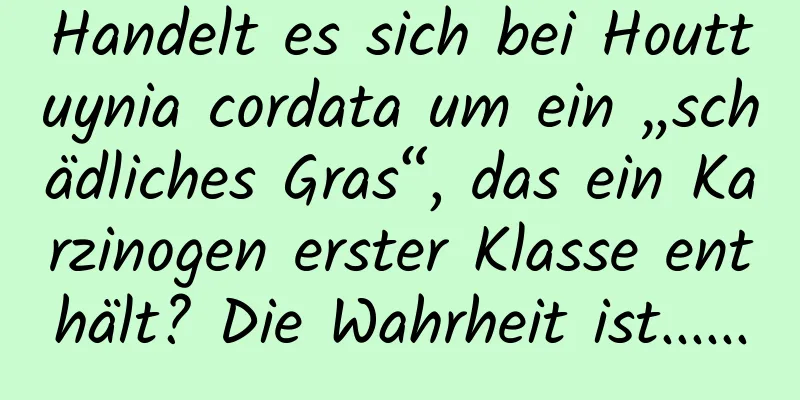 Handelt es sich bei Houttuynia cordata um ein „schädliches Gras“, das ein Karzinogen erster Klasse enthält? Die Wahrheit ist......