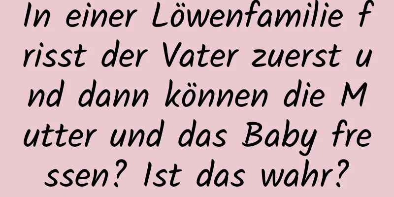 In einer Löwenfamilie frisst der Vater zuerst und dann können die Mutter und das Baby fressen? Ist das wahr?