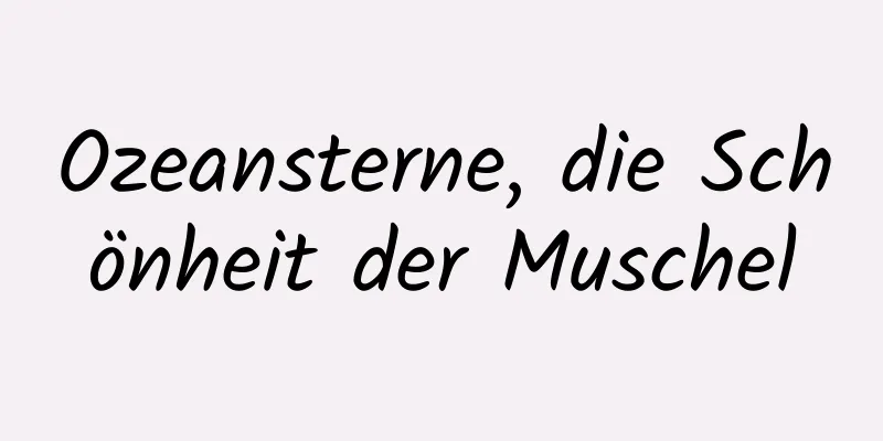 Ozeansterne, die Schönheit der Muschel