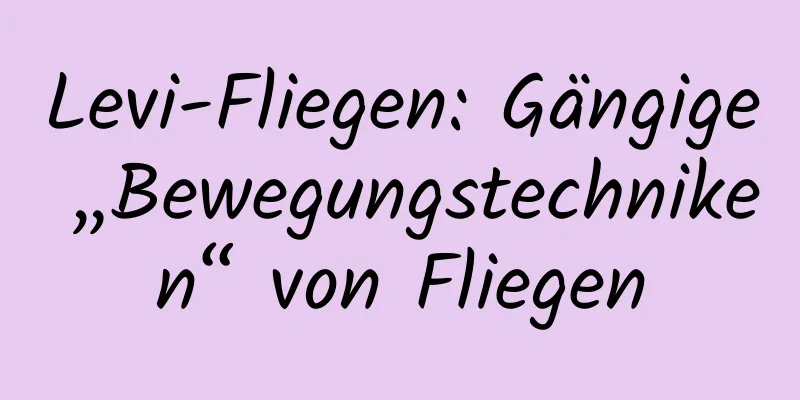 Levi-Fliegen: Gängige „Bewegungstechniken“ von Fliegen