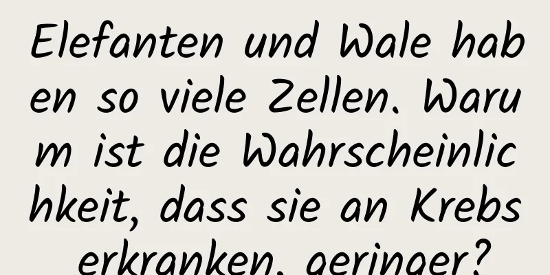 Elefanten und Wale haben so viele Zellen. Warum ist die Wahrscheinlichkeit, dass sie an Krebs erkranken, geringer?