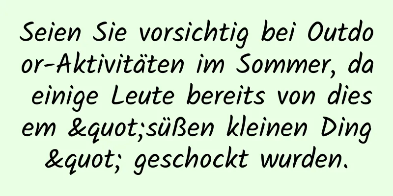Seien Sie vorsichtig bei Outdoor-Aktivitäten im Sommer, da einige Leute bereits von diesem "süßen kleinen Ding" geschockt wurden.