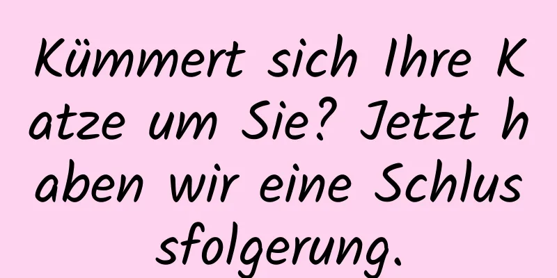 Kümmert sich Ihre Katze um Sie? Jetzt haben wir eine Schlussfolgerung.