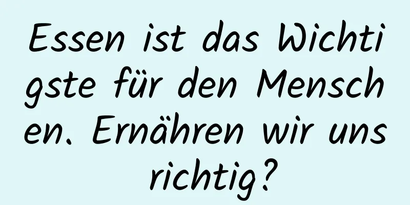 Essen ist das Wichtigste für den Menschen. Ernähren wir uns richtig?