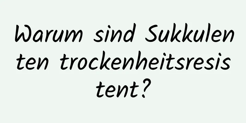 Warum sind Sukkulenten trockenheitsresistent?