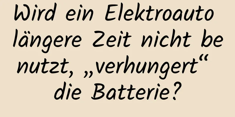 Wird ein Elektroauto längere Zeit nicht benutzt, „verhungert“ die Batterie?