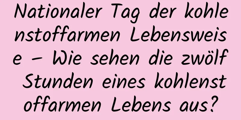 Nationaler Tag der kohlenstoffarmen Lebensweise – Wie sehen die zwölf Stunden eines kohlenstoffarmen Lebens aus?
