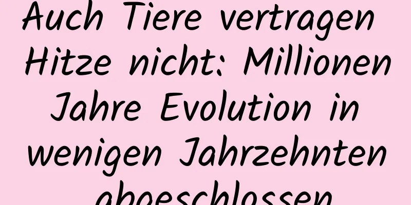 Auch Tiere vertragen Hitze nicht: Millionen Jahre Evolution in wenigen Jahrzehnten abgeschlossen