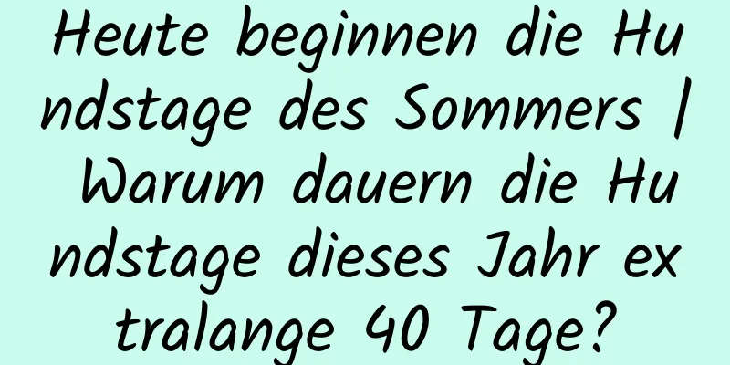 Heute beginnen die Hundstage des Sommers | Warum dauern die Hundstage dieses Jahr extralange 40 Tage?