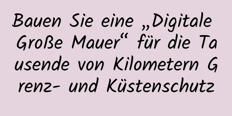 Bauen Sie eine „Digitale Große Mauer“ für die Tausende von Kilometern Grenz- und Küstenschutz