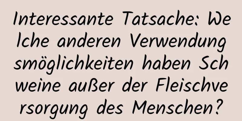 Interessante Tatsache: Welche anderen Verwendungsmöglichkeiten haben Schweine außer der Fleischversorgung des Menschen?