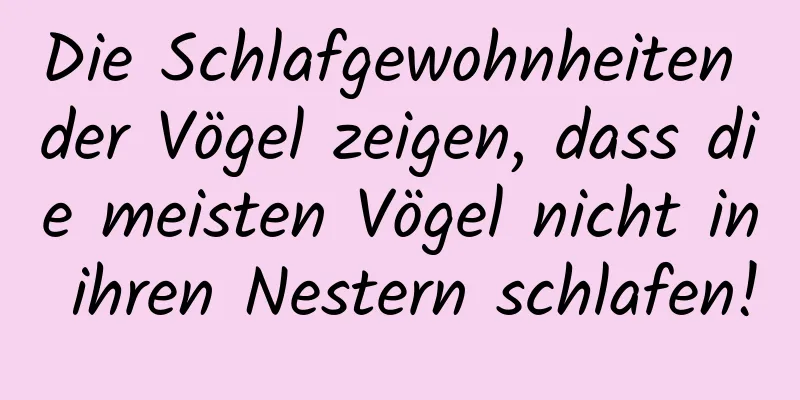 Die Schlafgewohnheiten der Vögel zeigen, dass die meisten Vögel nicht in ihren Nestern schlafen!