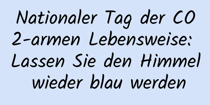 Nationaler Tag der CO2-armen Lebensweise: Lassen Sie den Himmel wieder blau werden