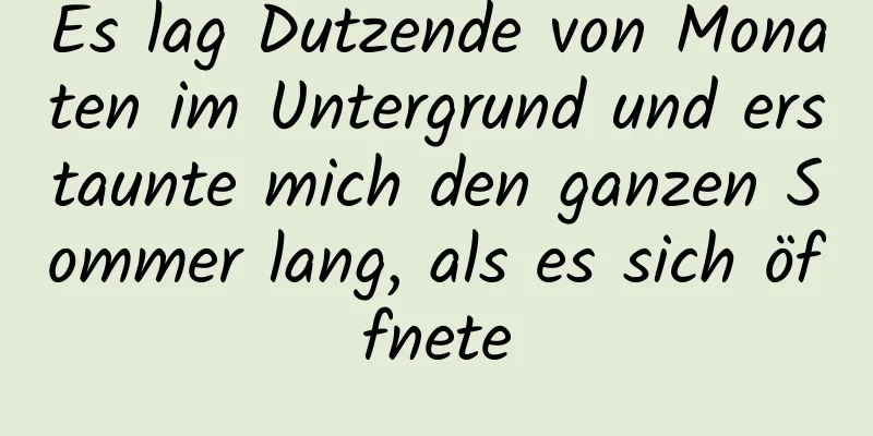 Es lag Dutzende von Monaten im Untergrund und erstaunte mich den ganzen Sommer lang, als es sich öffnete