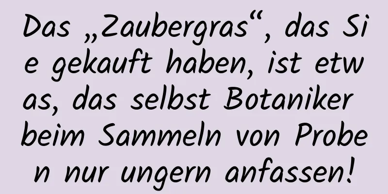 Das „Zaubergras“, das Sie gekauft haben, ist etwas, das selbst Botaniker beim Sammeln von Proben nur ungern anfassen!