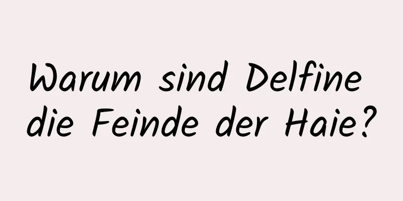 Warum sind Delfine die Feinde der Haie?