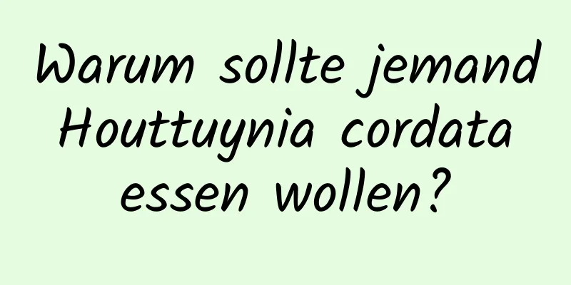 Warum sollte jemand Houttuynia cordata essen wollen?