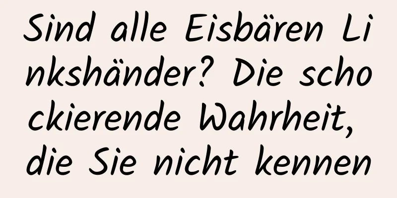 Sind alle Eisbären Linkshänder? Die schockierende Wahrheit, die Sie nicht kennen