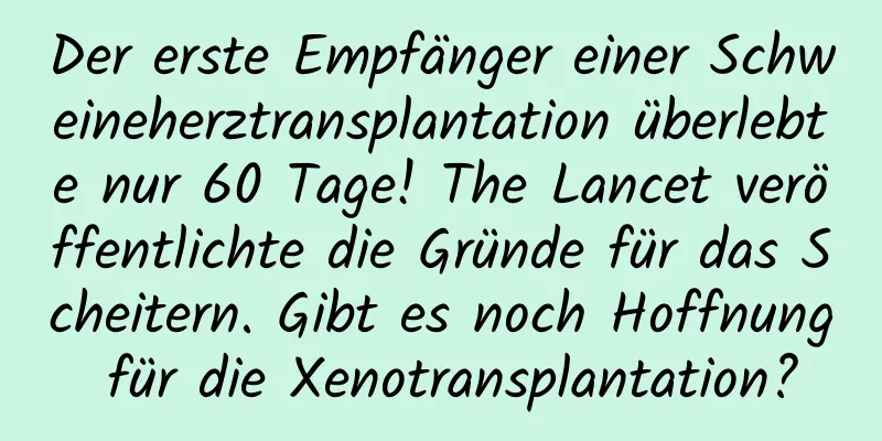 Der erste Empfänger einer Schweineherztransplantation überlebte nur 60 Tage! The Lancet veröffentlichte die Gründe für das Scheitern. Gibt es noch Hoffnung für die Xenotransplantation?