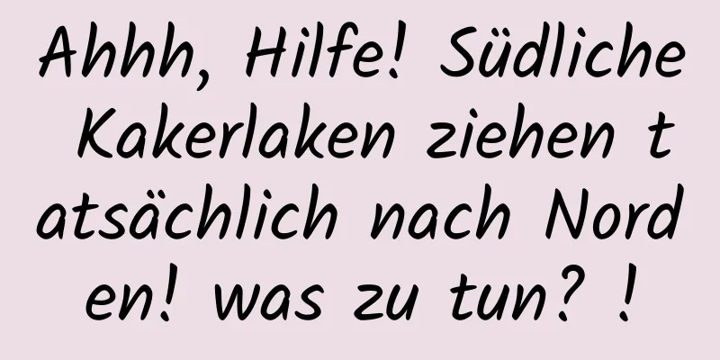 Ahhh, Hilfe! Südliche Kakerlaken ziehen tatsächlich nach Norden! was zu tun? !