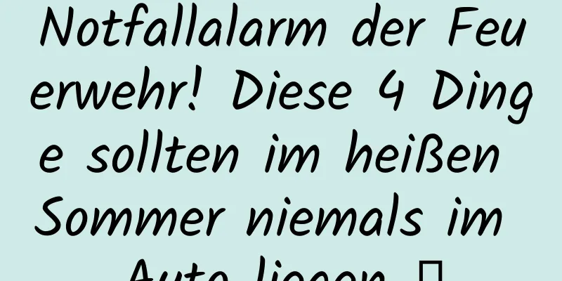 Notfallalarm der Feuerwehr! Diese 4 Dinge sollten im heißen Sommer niemals im Auto liegen →