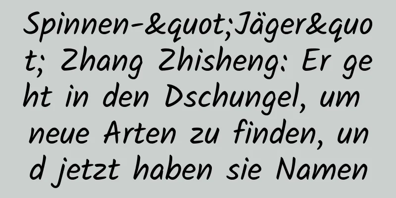 Spinnen-"Jäger" Zhang Zhisheng: Er geht in den Dschungel, um neue Arten zu finden, und jetzt haben sie Namen
