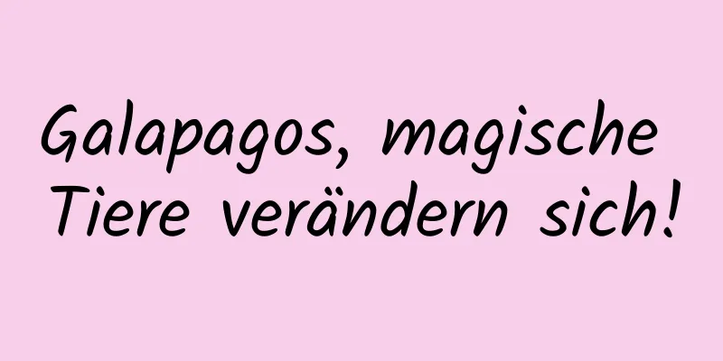 Galapagos, magische Tiere verändern sich!