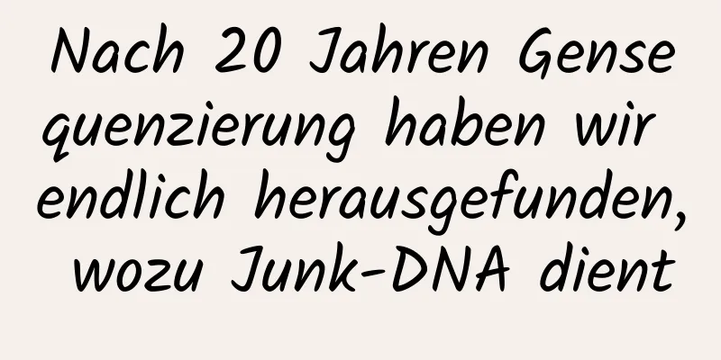 Nach 20 Jahren Gensequenzierung haben wir endlich herausgefunden, wozu Junk-DNA dient