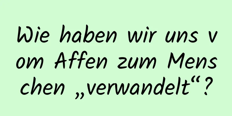 Wie haben wir uns vom Affen zum Menschen „verwandelt“?