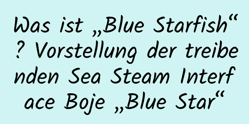 Was ist „Blue Starfish“? Vorstellung der treibenden Sea Steam Interface Boje „Blue Star“
