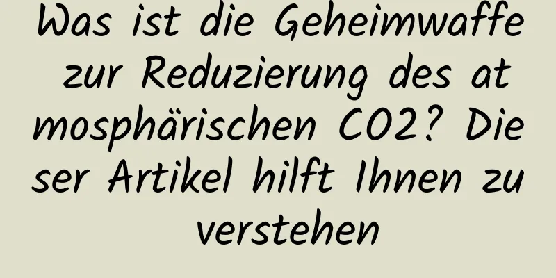Was ist die Geheimwaffe zur Reduzierung des atmosphärischen CO2? Dieser Artikel hilft Ihnen zu verstehen