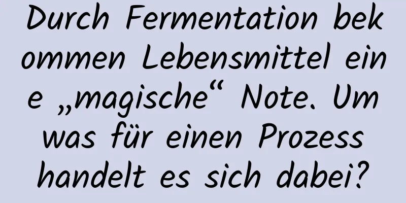 Durch Fermentation bekommen Lebensmittel eine „magische“ Note. Um was für einen Prozess handelt es sich dabei?