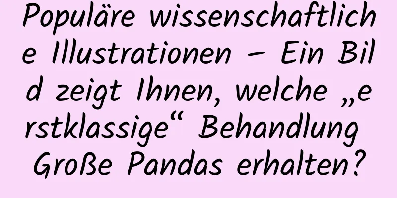 Populäre wissenschaftliche Illustrationen – Ein Bild zeigt Ihnen, welche „erstklassige“ Behandlung Große Pandas erhalten?