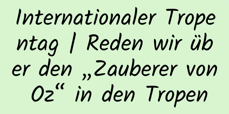 Internationaler Tropentag | Reden wir über den „Zauberer von Oz“ in den Tropen