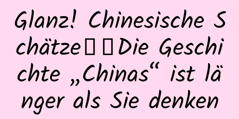 Glanz! Chinesische Schätze①丨Die Geschichte „Chinas“ ist länger als Sie denken