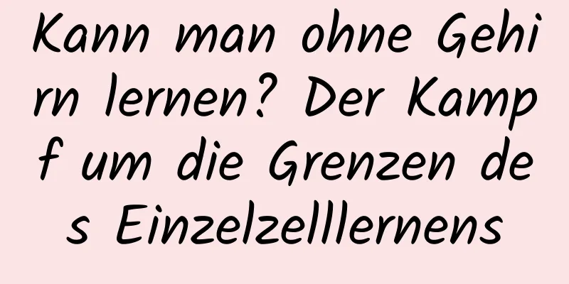 Kann man ohne Gehirn lernen? Der Kampf um die Grenzen des Einzelzelllernens