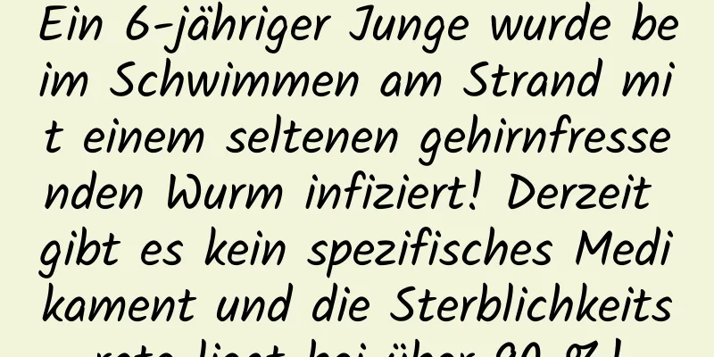 Ein 6-jähriger Junge wurde beim Schwimmen am Strand mit einem seltenen gehirnfressenden Wurm infiziert! Derzeit gibt es kein spezifisches Medikament und die Sterblichkeitsrate liegt bei über 90 %!