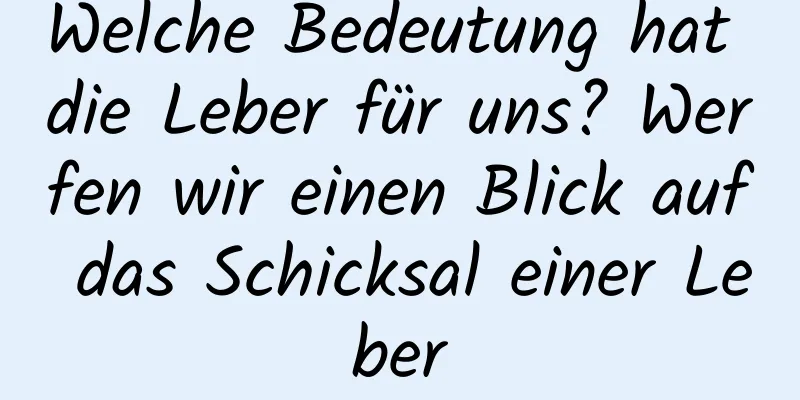 Welche Bedeutung hat die Leber für uns? Werfen wir einen Blick auf das Schicksal einer Leber