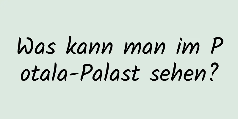 Was kann man im Potala-Palast sehen?
