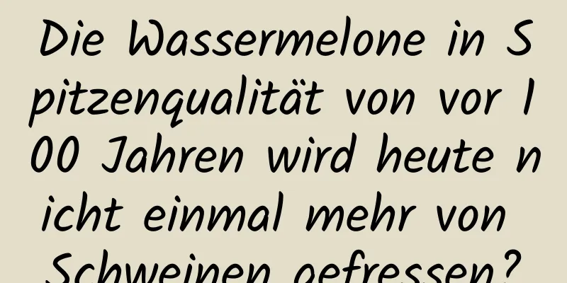 Die Wassermelone in Spitzenqualität von vor 100 Jahren wird heute nicht einmal mehr von Schweinen gefressen?