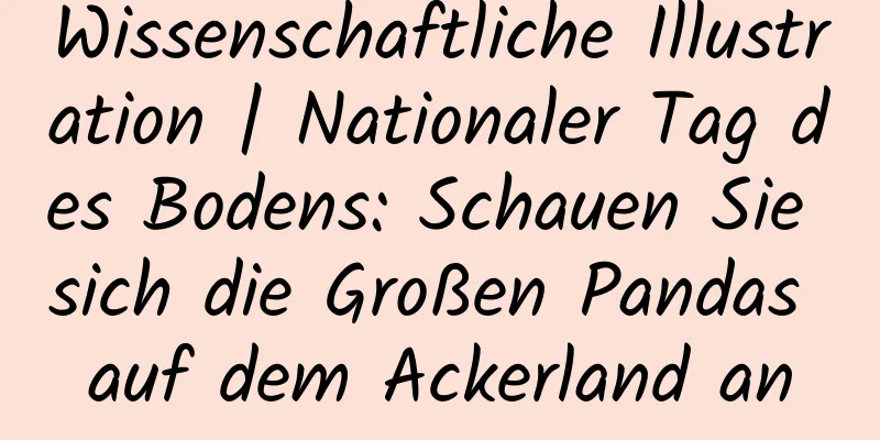 Wissenschaftliche Illustration | Nationaler Tag des Bodens: Schauen Sie sich die Großen Pandas auf dem Ackerland an