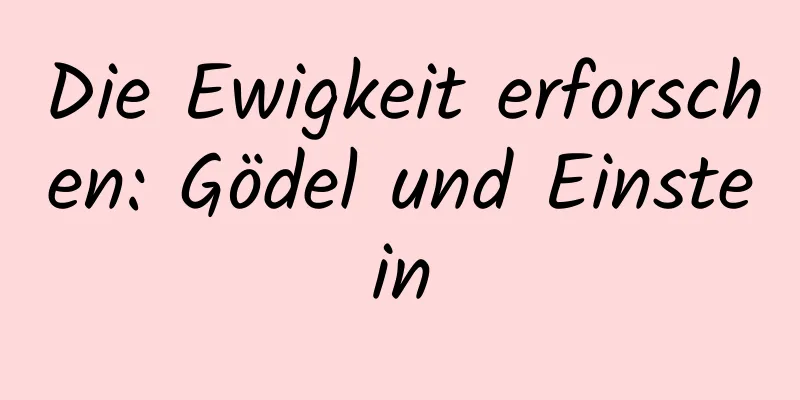 Die Ewigkeit erforschen: Gödel und Einstein