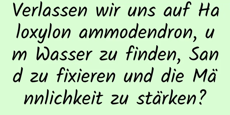Verlassen wir uns auf Haloxylon ammodendron, um Wasser zu finden, Sand zu fixieren und die Männlichkeit zu stärken?