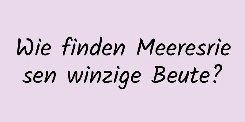 Wie finden Meeresriesen winzige Beute?