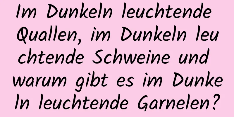 Im Dunkeln leuchtende Quallen, im Dunkeln leuchtende Schweine und warum gibt es im Dunkeln leuchtende Garnelen?