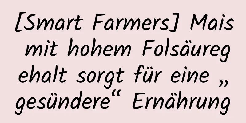 [Smart Farmers] Mais mit hohem Folsäuregehalt sorgt für eine „gesündere“ Ernährung