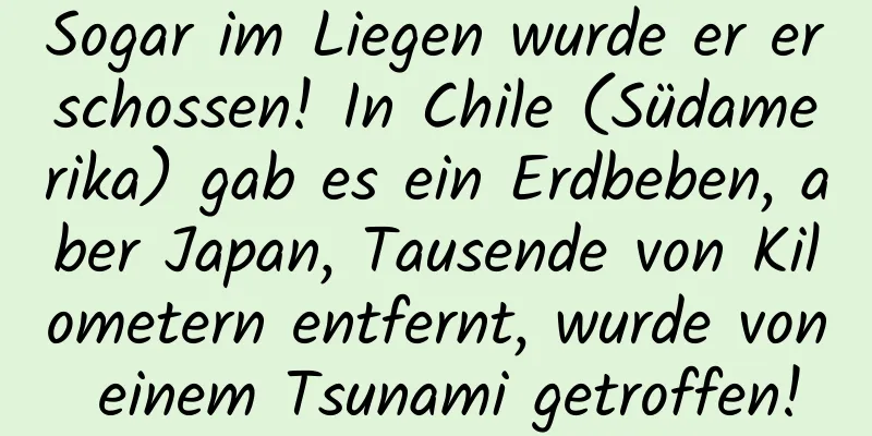 Sogar im Liegen wurde er erschossen! In Chile (Südamerika) gab es ein Erdbeben, aber Japan, Tausende von Kilometern entfernt, wurde von einem Tsunami getroffen!