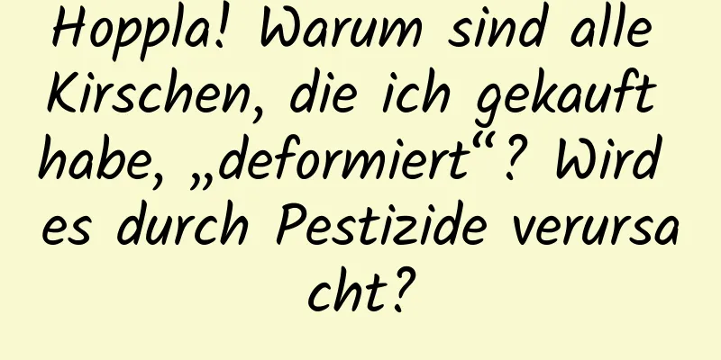 Hoppla! Warum sind alle Kirschen, die ich gekauft habe, „deformiert“? Wird es durch Pestizide verursacht?